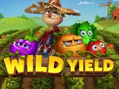 Wacko Casino screenshot